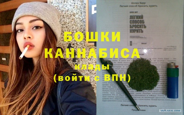 гашик Бронницы