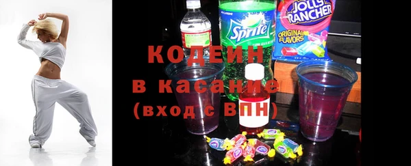 МДПВ Бородино
