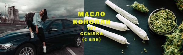 МДПВ Бородино