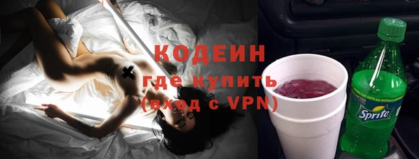 МДПВ Бородино