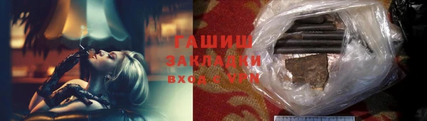 МДПВ Бородино