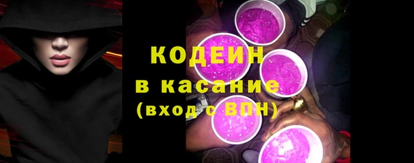 МДПВ Бородино