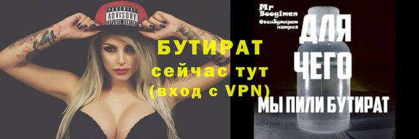 МДПВ Бородино