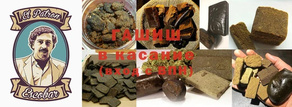 МДПВ Бородино
