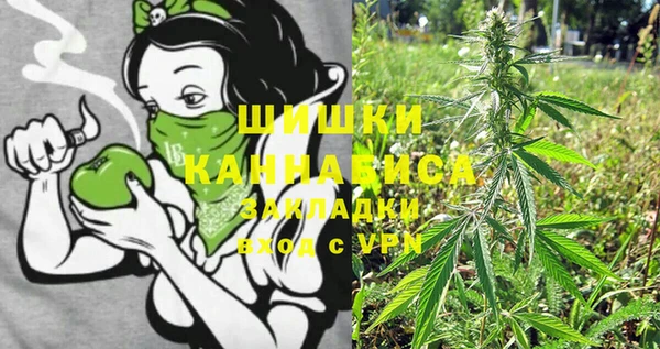 гашик Бронницы