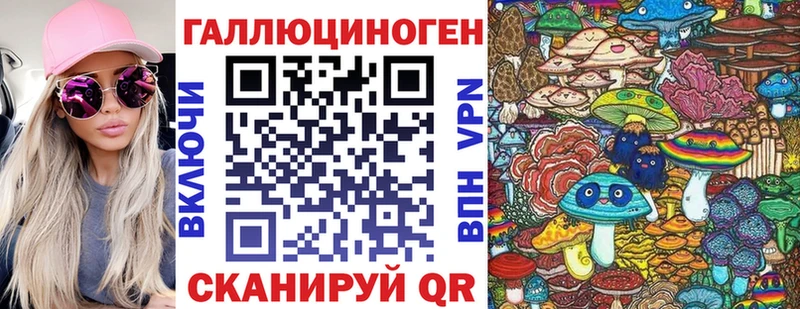 купить   Гвардейск  Псилоцибиновые грибы MAGIC MUSHROOMS 